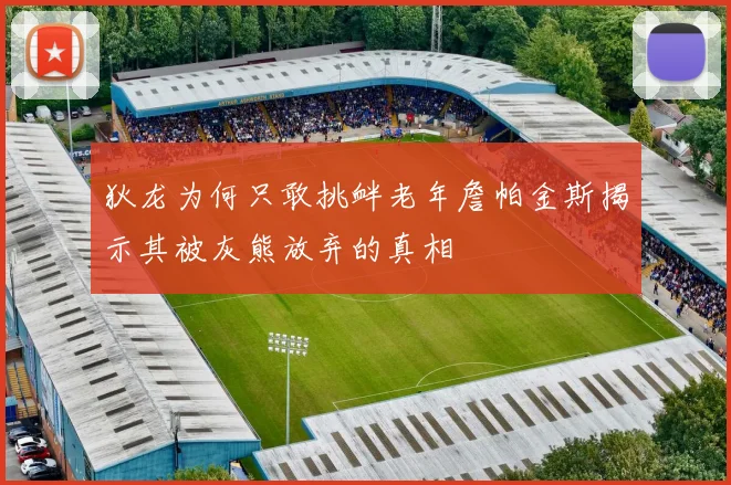 狄龙为何只敢挑衅老年詹帕金斯揭示其被灰熊放弃的真相