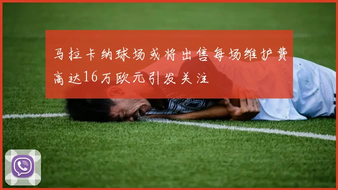 马拉卡纳球场或将出售每场维护费高达16万欧元引发关注